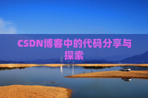 CSDN博客中的代码分享与探索